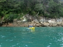 abeltasman (11)